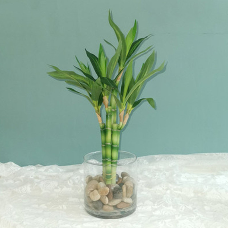 Desk Setup Green - Baru 40Cm RFtificial Bambu Beruntung Tanaman