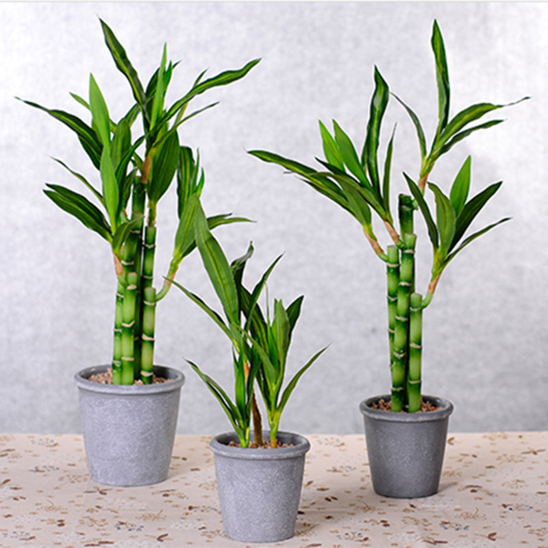 Baru 40Cm RFtificial Bambu Ber - Desk Setup Green ulasan dan harga