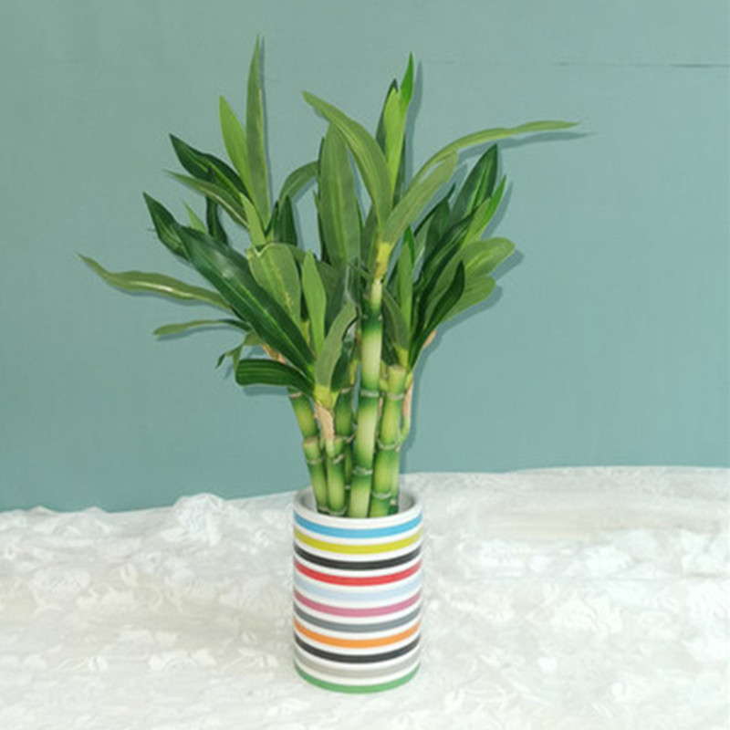 Baru 40Cm RFtificial Bambu Ber - Desk Setup Green ulasan dan harga