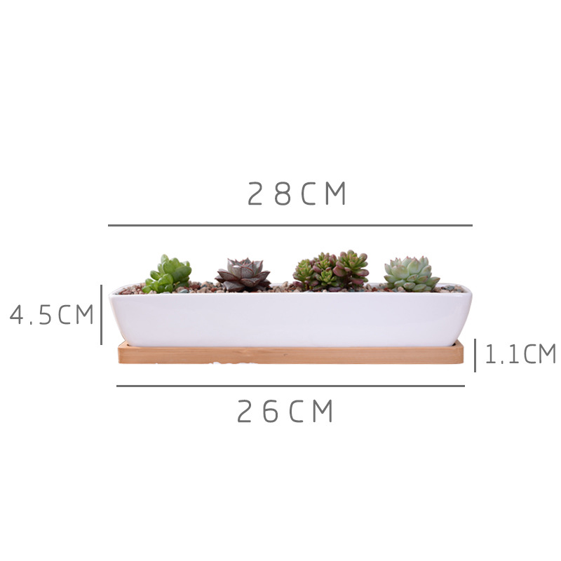 Pot Tanaman Sukulen Keramik Pu - Desk Setup Green ulasan dan harga